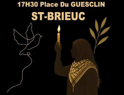 Vers la fin de la guerre à Gaza ? Mobilisé·es pour une paix juste et durable !