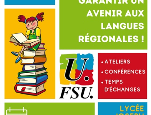 Agir pour le service public, c&rsquo;est aussi garantir un avenir aux langues régionales ! Stage syndical à Pontivy