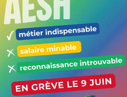 AESH : un vrai métier, un vrai corps de fonctionnaire ! Toutes et tous mobilisé.es le mardi 9 juin !