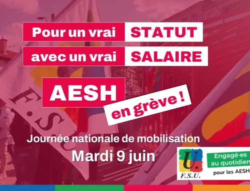 AESH : un vrai métier, un vrai corps de fonctionnaire ! Toutes et tous mobilisé.es le mardi 9 juin !